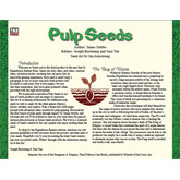 Seeds: Pulp I