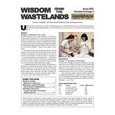 Wisdom from the Wastelands Issue #30: Nanotechnology II